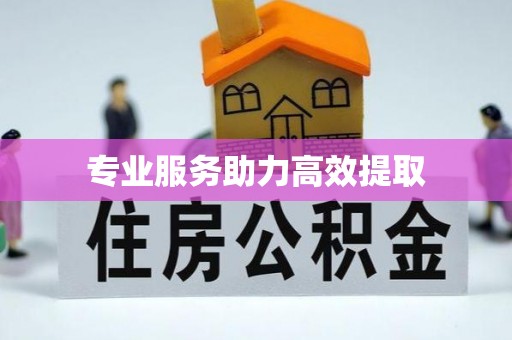 港口专业服务助力高效提取