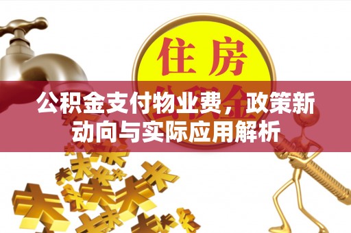 港口公积金支付物业费，政策新动向与实际应用解析