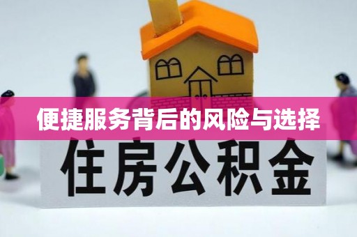 港口便捷服务背后的风险与选择