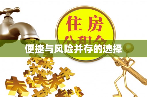 港口便捷与风险并存的选择