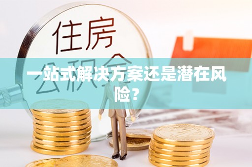 港口一站式解决方案还是潜在风险？