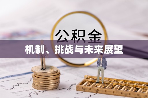 港口机制、挑战与未来展望