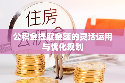 港口公积金提取金额的灵活运用与优化规划